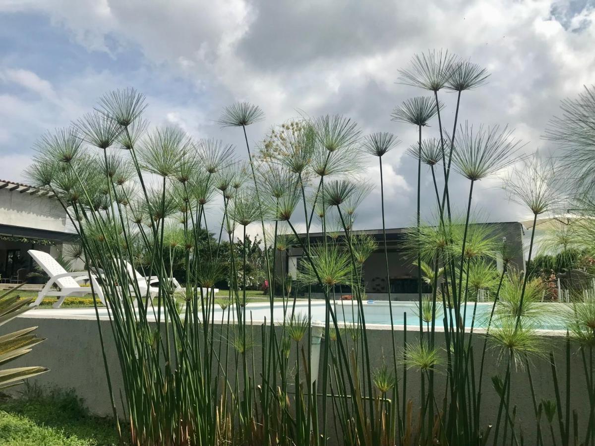 كويمبايا Torcaza Casa De Campo المظهر الخارجي الصورة